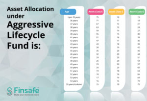 aggressive lifecycle fund