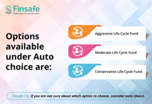 options available under auto choice