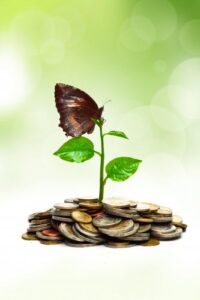 Budget 2020: Long term financial wellness or more money for spending